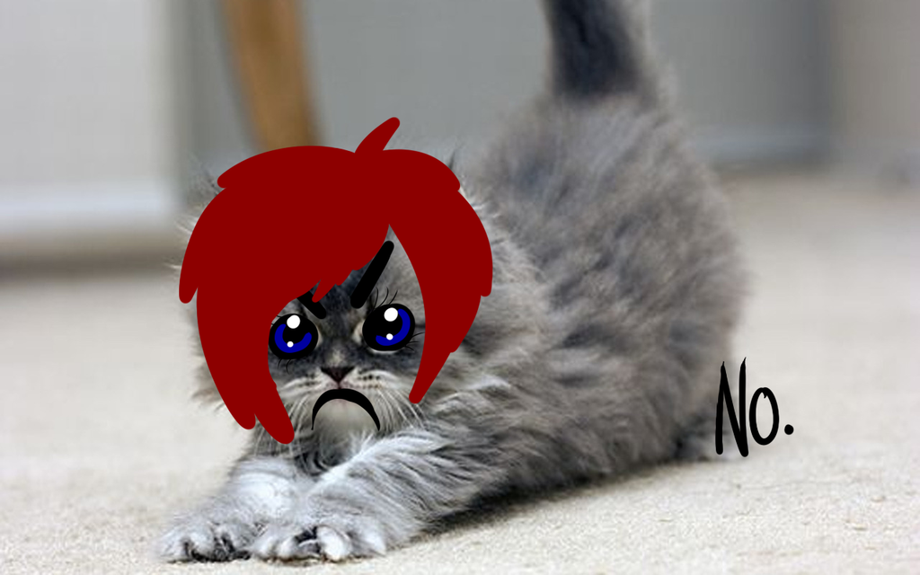 Looooooooooooooooooooooooool Rejected by ImSarahB3ar on DeviantArt