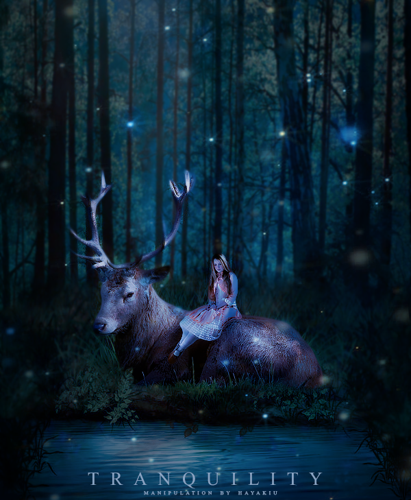 Tranquility by hayakiuu