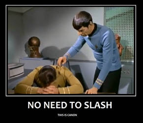 Spirk: Canon vs Slash