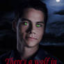Teen Wolf: Stiles
