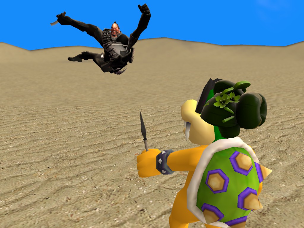 Battle for the koopa freedom