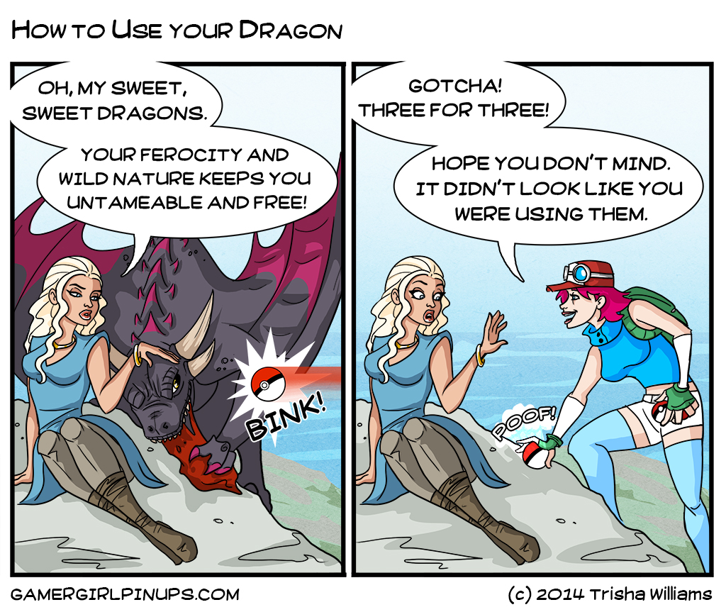 How to Use your Dragon