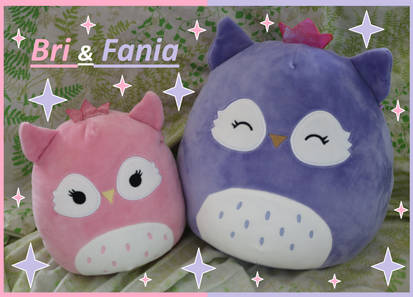 Squishmallows - Royal Owls Lil Bri and Big Fania