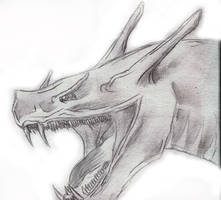 ...and ANOTHER dragon