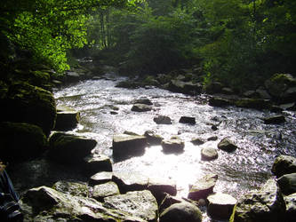 Yorkshire Dales 6