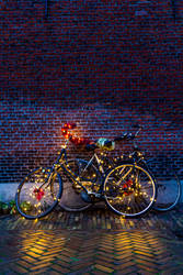 X-Mas bike