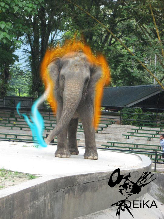 elephant on rage by deikaM on DeviantArt