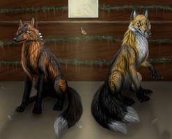 Foxes in henhouse