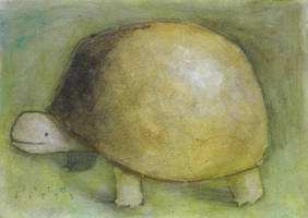 Old Turtle