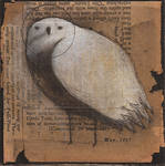 White Owl (May 1957) by SethFitts