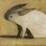 Rabbit: Feeling for the Wind