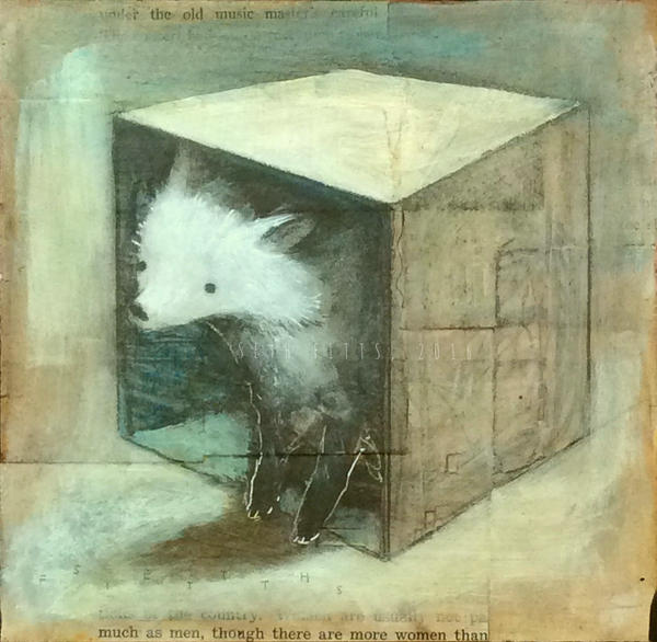 White Fox in an old Box