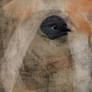 Bird Figure: Paused for a Moment