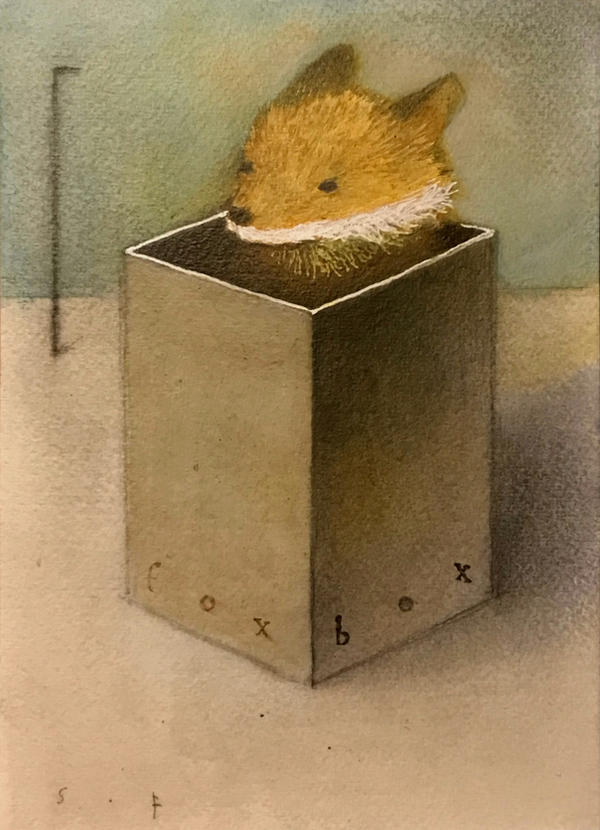 Fox Box by SethFitts on DeviantArt