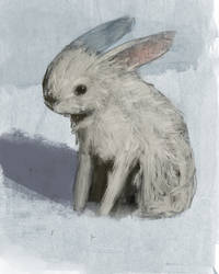 Seth The Rabbit SethFitts - Professional, Traditional Artist | DeviantArt
