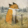 Fox waiting at Marker
