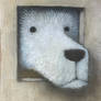 Curious Dog