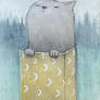 Cat: Moon Box