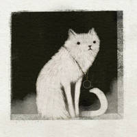 WIndow Watcher (White Cat)