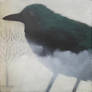 Crow Bird Spirit (Mist Tree)