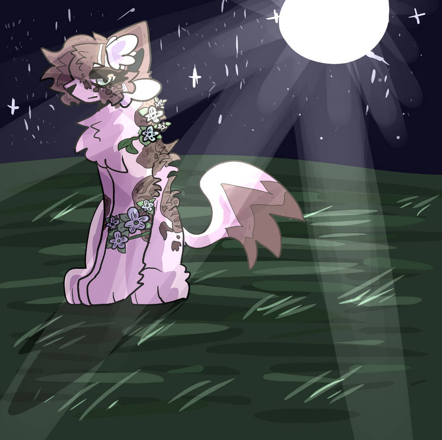 Clover pool warrior Cats OC By SammiiVeryEpik On DeviantArt clover-pool-warrior-cats-oc-by-sammiiveryepik-on-deviantart