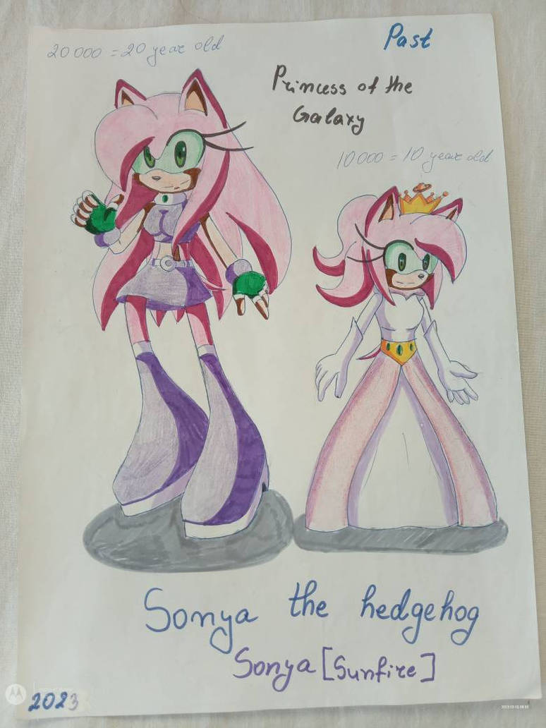 Sonya Insect Sonya the hedgehog by MivesTH on DeviantArt