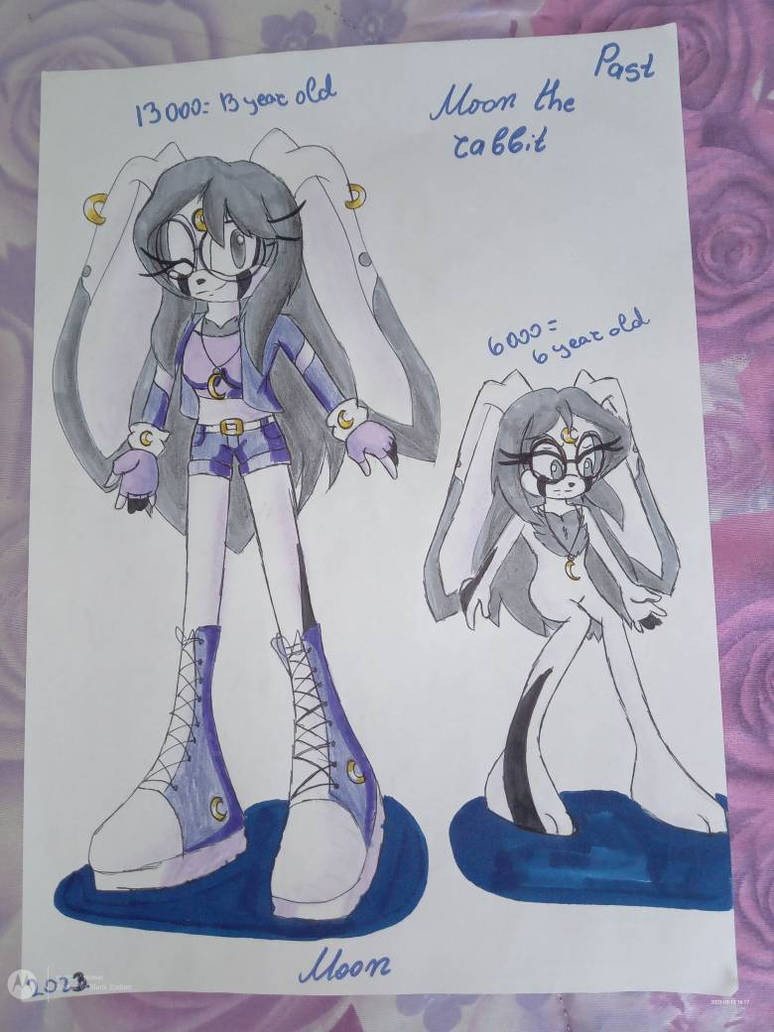 Moon the rabbit by MivesTH on DeviantArt