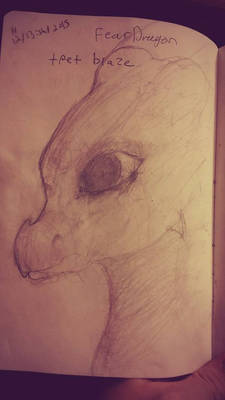 Cynder