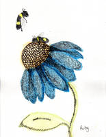 Blue Coneflower