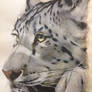 Snow leopard inspired by Jay-co