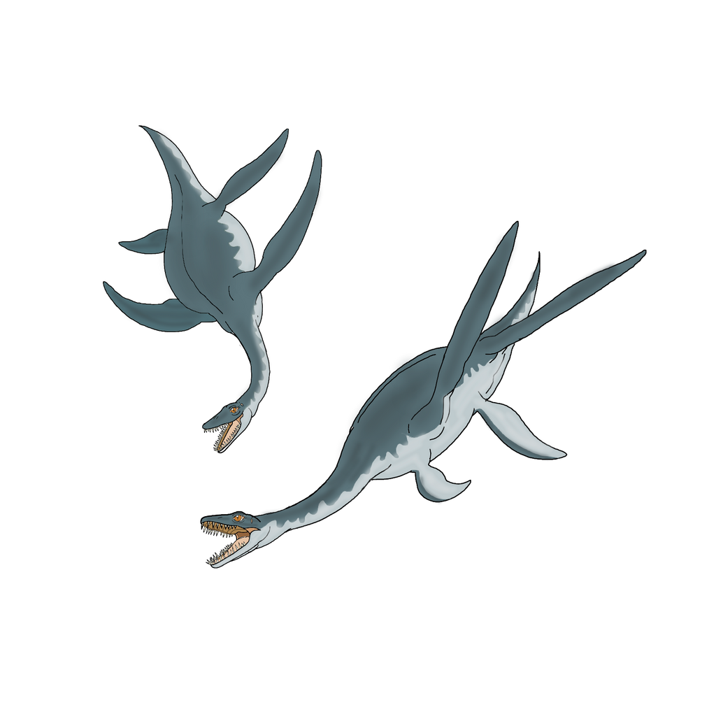 The plesiosaurus girls by bio675 on deviantart The Plesiosaurus Girls by BIO675 on DeviantArt