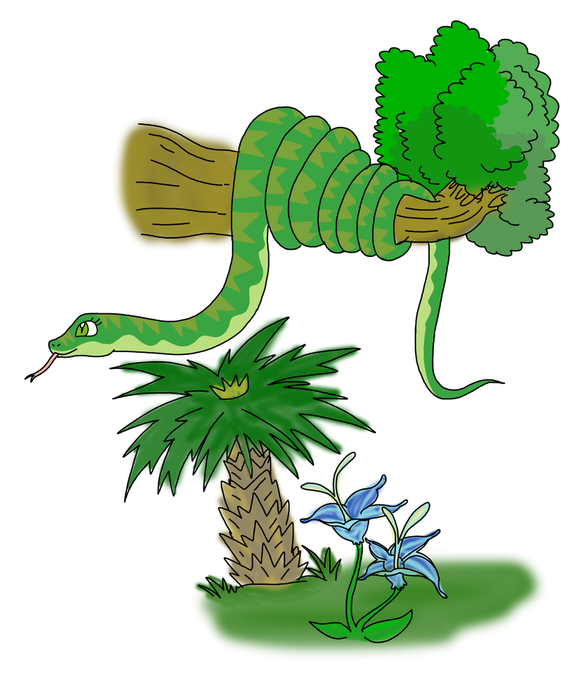 Snake Ina Tree Drawing Snake in the Tree by BIO675 on DeviantArt