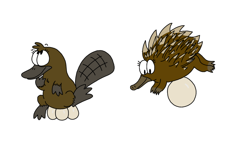 EggLayingMammals by BIO675 on DeviantArt