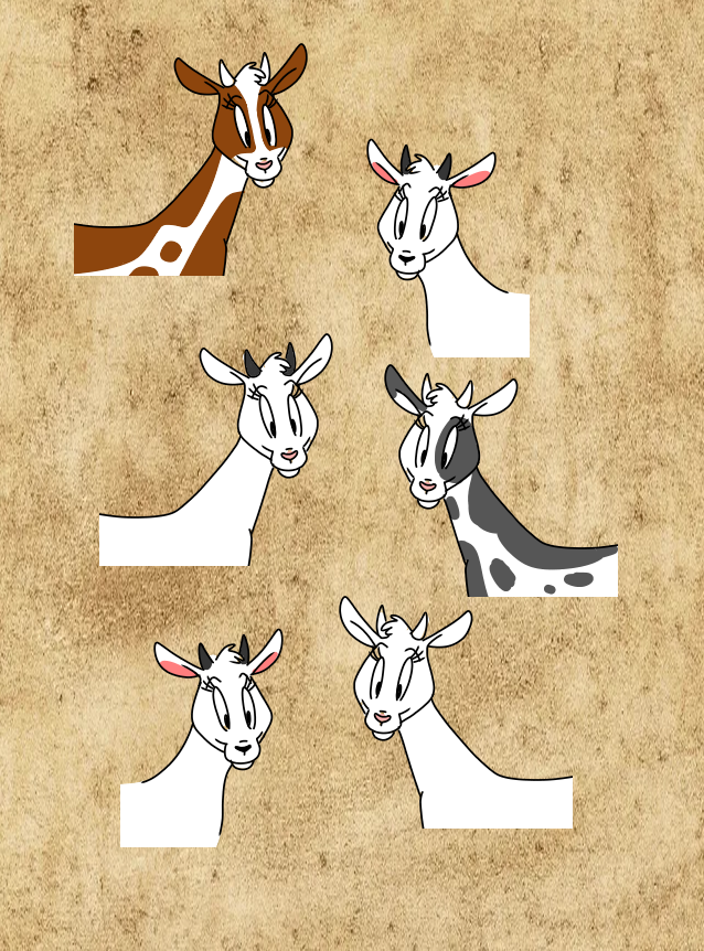 Deviantart Grumpy Goat Lots of Goats by BIO675 on DeviantArt