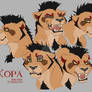 Some expressions of Kopa