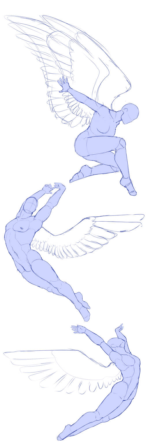 F2U Pose Pack - Winged Flight by ShadowInkWarrior on DeviantArt F2U Pose Pack - Winged Flight by ShadowInkWarrior on DeviantArt