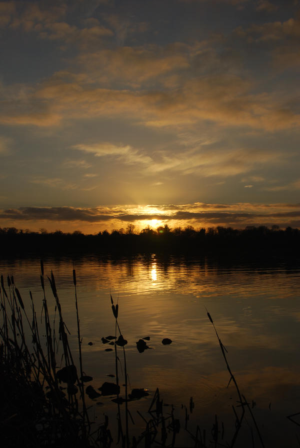 Oxford Island