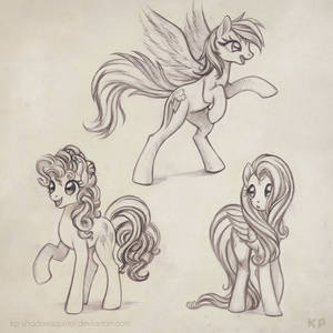 Pony Drawings