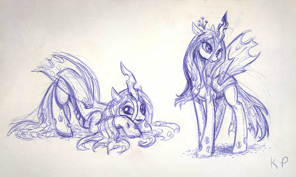 Chrysalis Sketches