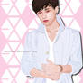 exo tao