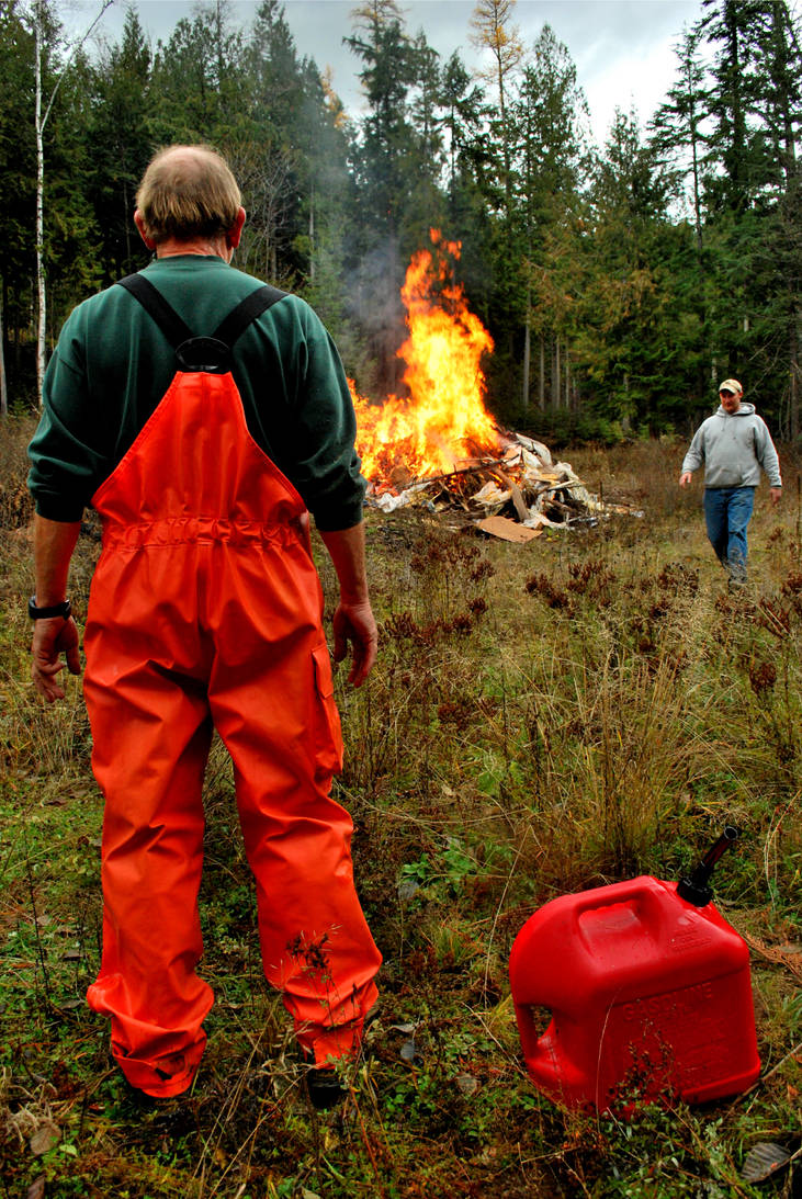 Forest Fires by wyomingpics on DeviantArt