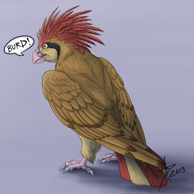 Pokemon Challenge: Pidgeotto