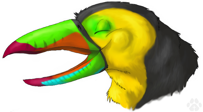 Tucan