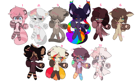 Chibi adopts OPEN