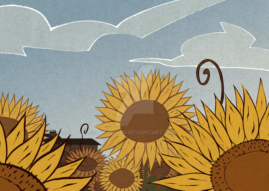 Girasoles - Sunflowers