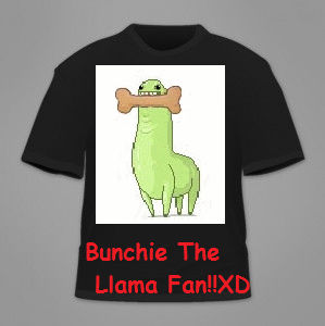 Bunchie The Llama T-Shirt