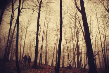 fog wanderers