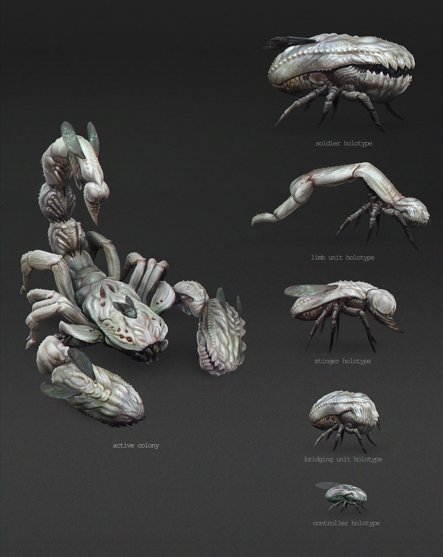 CA Team Challenge_creature concept_001_CSheet