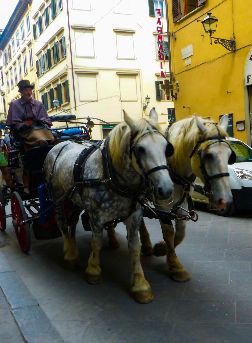 Horse Carriage