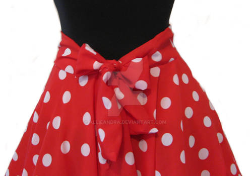 Minnie circle skirt back